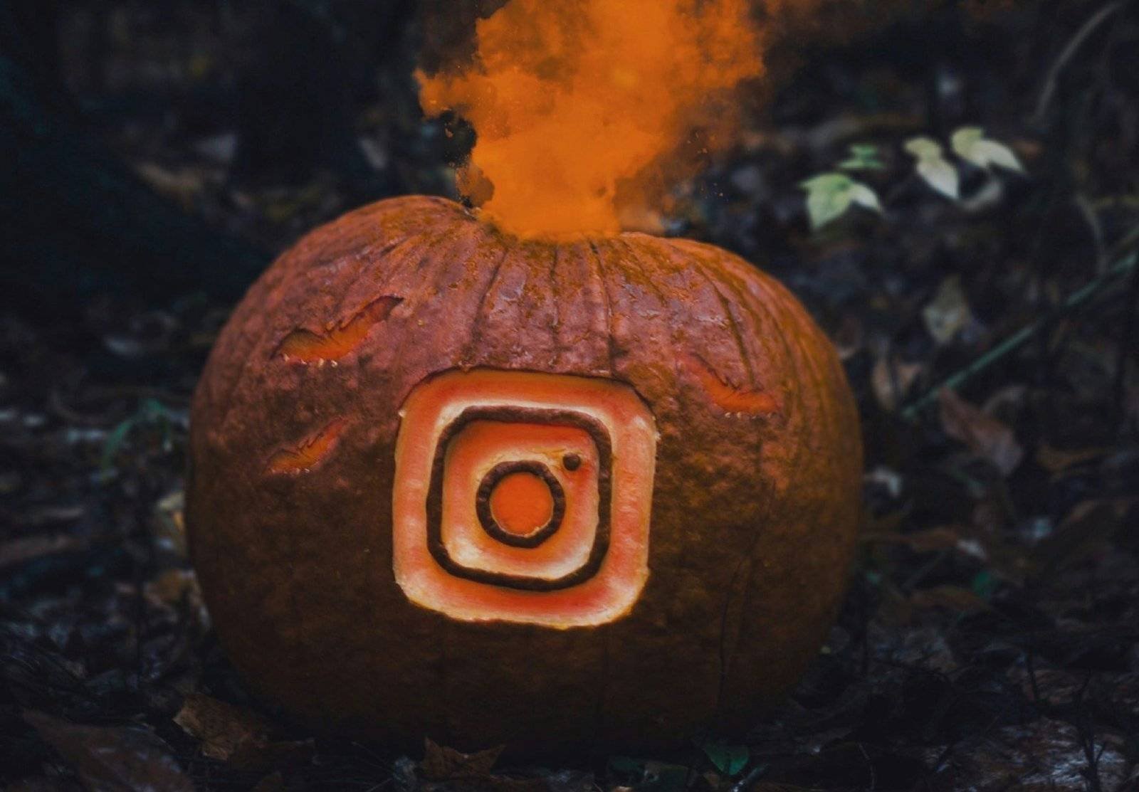 a pumpkin with a logo carved into it